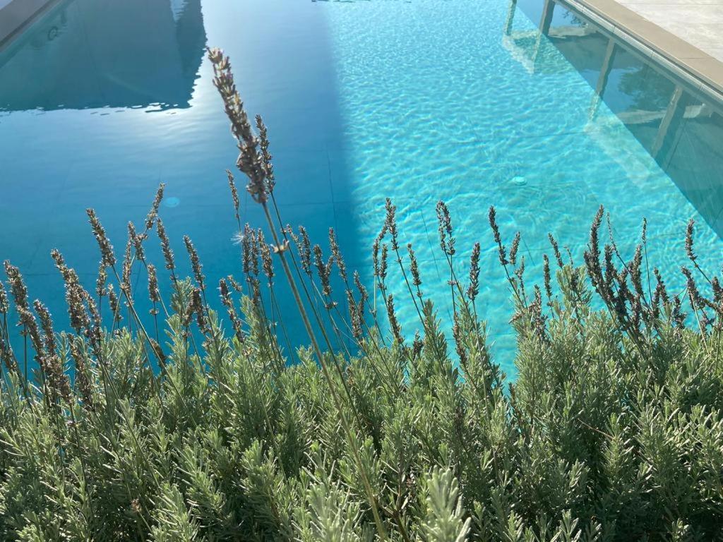 Rosemarine Villas Durres Exterior photo